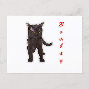 Handgezeichnete lustige Bombay-Katze Japan Geschen Postkarte