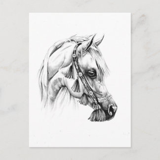 Handgezeichnete Pferdeskizze Kunst handgemacht Postkarte