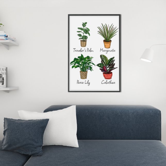 Handgezeichnete Pflanze Wall Art Poster (Von Creator hochgeladen)