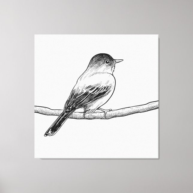 Handgezeichnete Vogeldarstellung Leinwanddruck (Vorderseite)