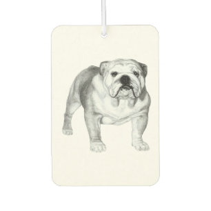 Handgezeichneter Englischer Bulldogge Autolufterfrischer
