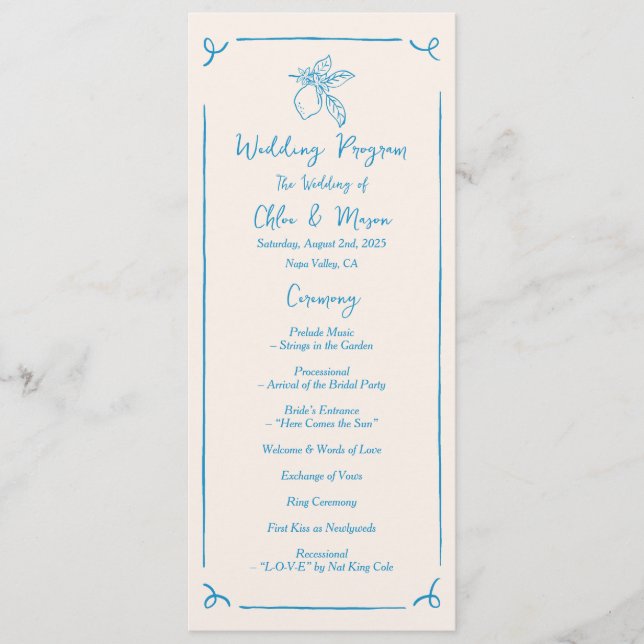 Handgezeichnetes Lemon-Flat-Programm Programm (Vorderseite)