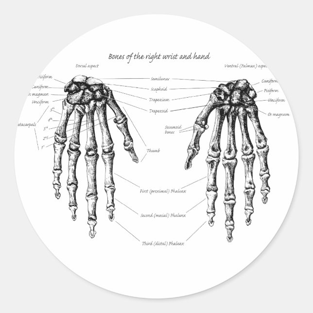 Handknochen Details ln Runder Aufkleber (Vorderseite)