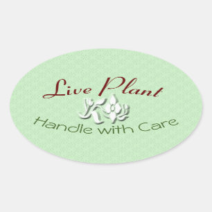 Handle Plante en direct avec Étiquette de précauti