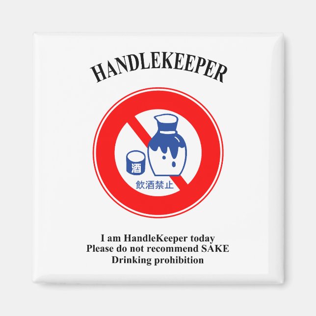 HandleKeeper 1 Magnet (Vorne)