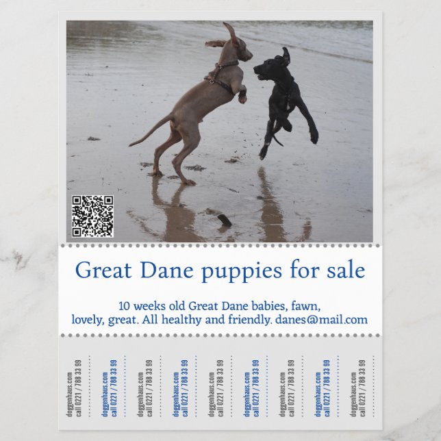 Händlerposter Flyer (Vorne)