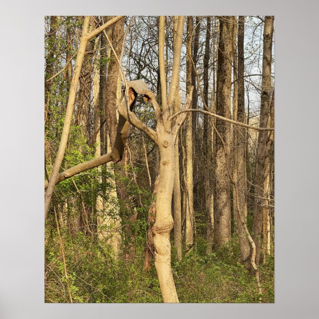 Handlike Tree Poster (Vorne)