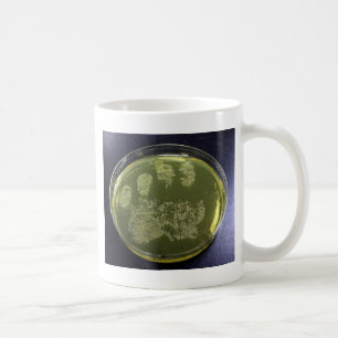 Handpetrischalen-Bakterien Kaffeetasse