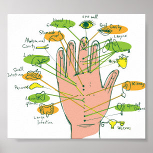 HandReflexzonenmassage-Diagramm Poster