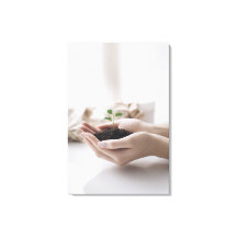 Hands Holding Seedling Growth Hope