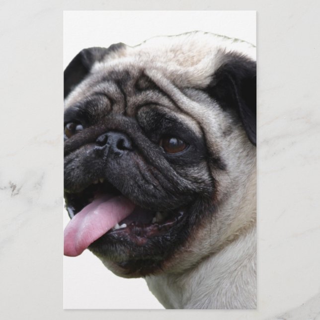 Handsom, weißes Mops Foto-Zubehör, Namen hinzufüge (Vorderseite)