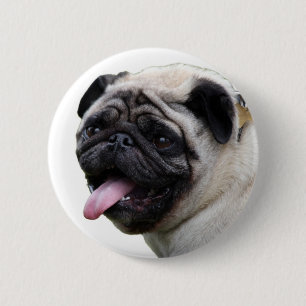 Handsom, weißes Mops Foto-Zubehör, Namen hinzufüge Button