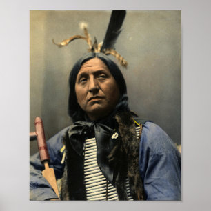 HANDSOME AMERIKANISCHE UREINWOHNER POSTER