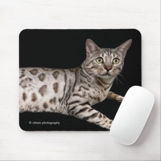 Handsome Bengal Cat Chillaxing in the Condo Mousepad