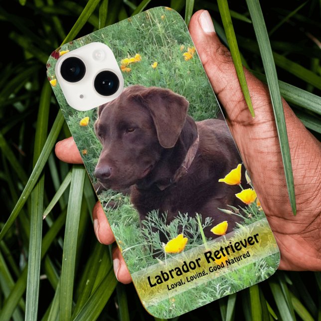 Handsome Chocolate Labrador Do in Poppy Patch Case-Mate iPhone Hülle (Von Creator hochgeladen)
