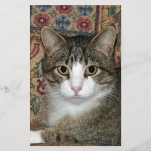 Handsome Fellow Briefpapier