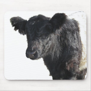 Handsome Galloway Steer Mousepad