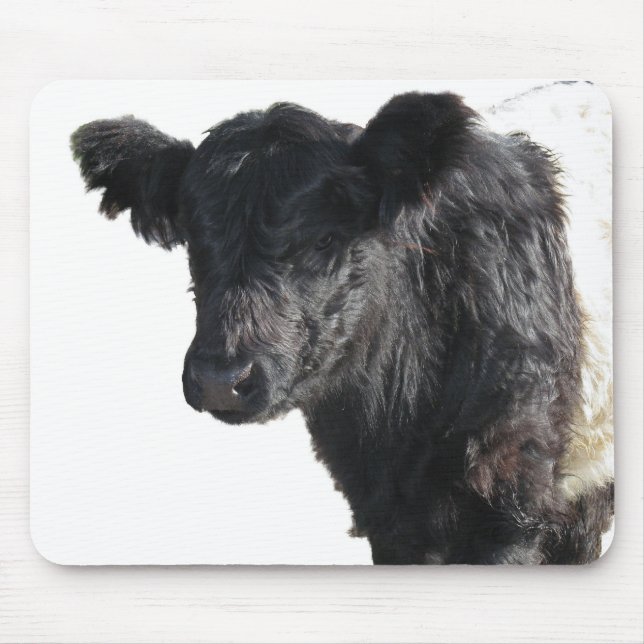 Handsome Galloway Steer Mousepad (Vorne)