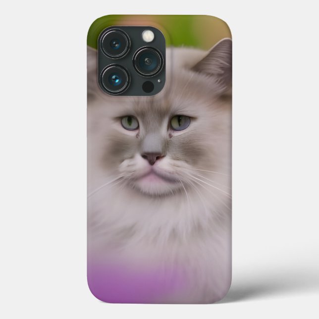 Handsome Maine Coon Himalayan Cat Case-Mate iPhone Hülle (Rückseite)