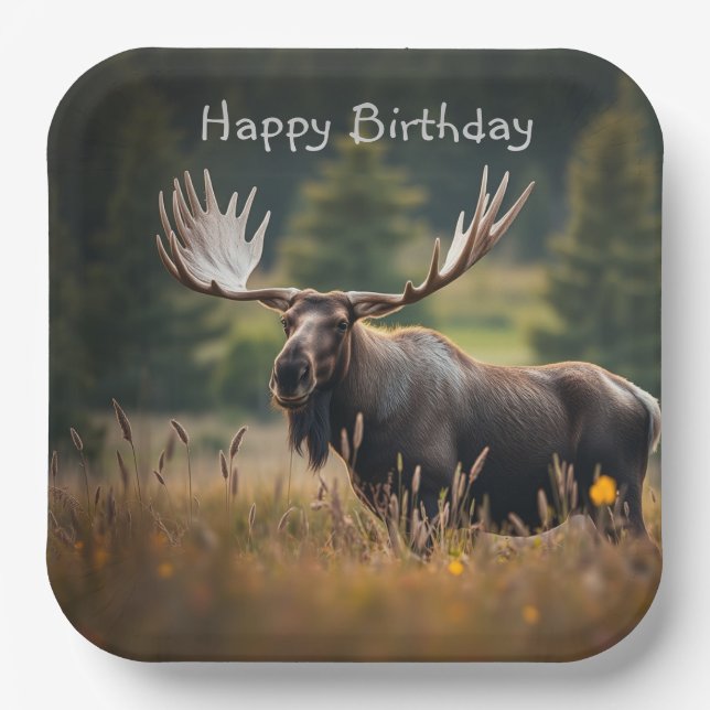 Handsome Moose Birthday Pappteller (Vorderseite)