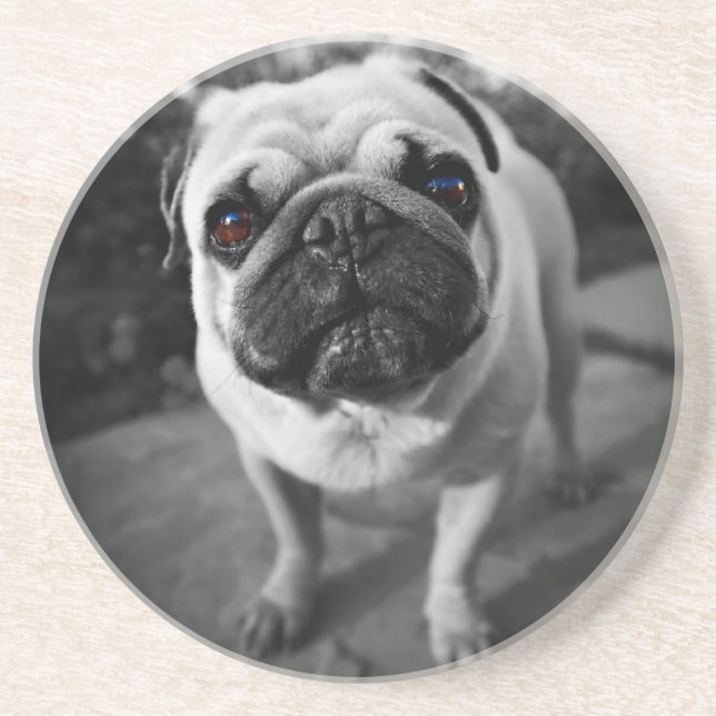 Handsome Mops Getränkeuntersetzer (Vorne)