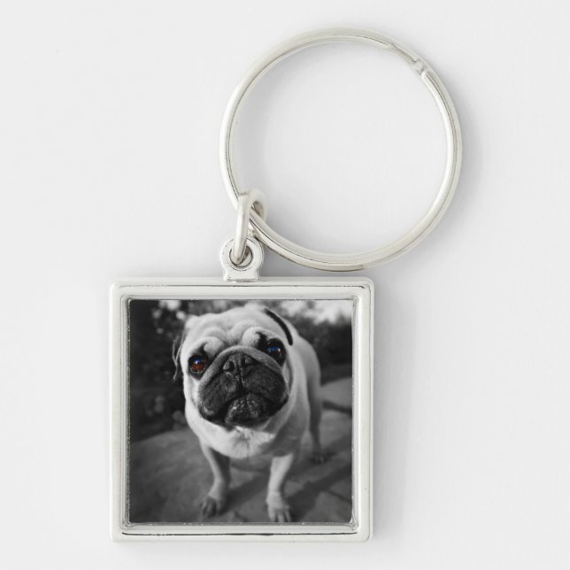 Handsome Mops Schlüsselanhänger (Vorne)