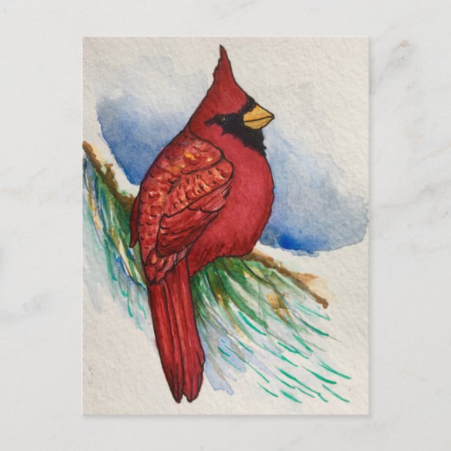 Handsome Northern Kardinal Red Bird Postkarte (Vorderseite)