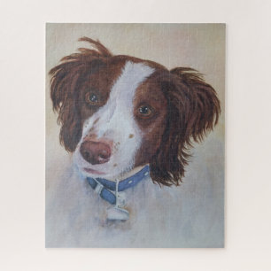 Handsome Retriever Dog