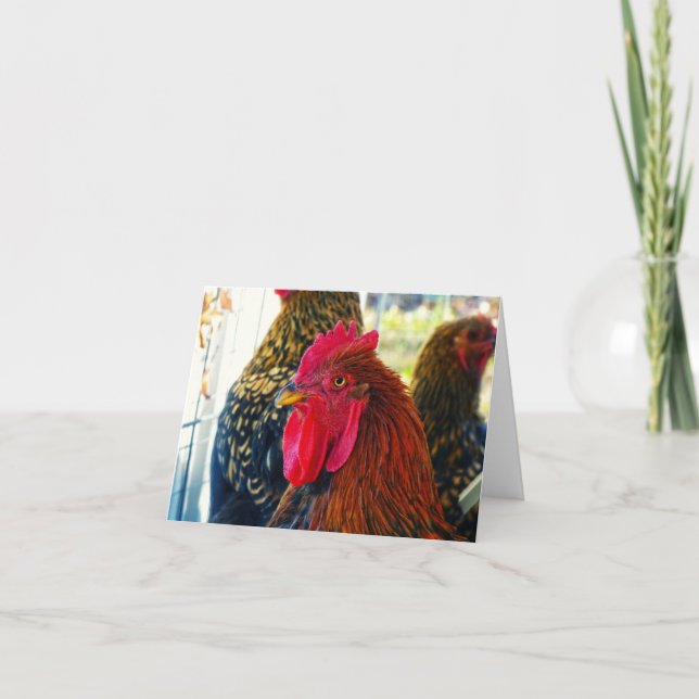 Handsome Rooster Karte (Vorderseite)