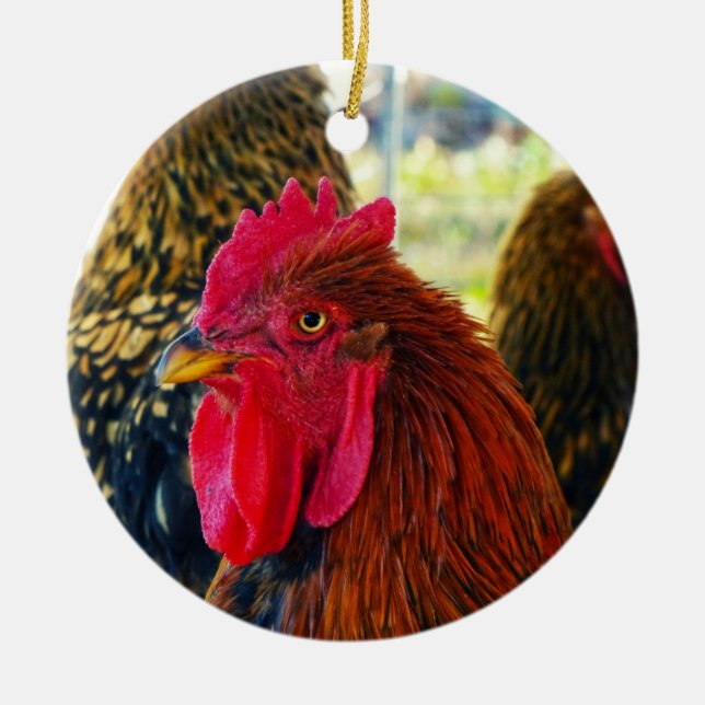 Handsome Rooster Keramik Ornament (Vorne)