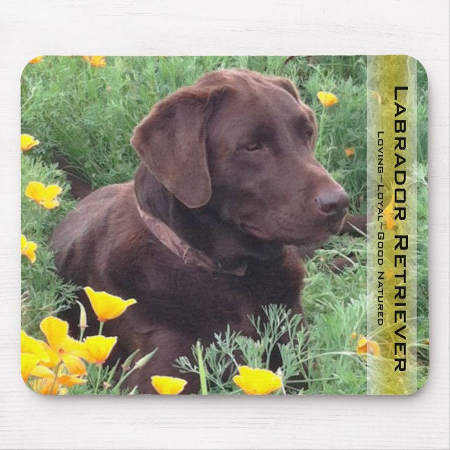 Handsome Schokolade Labrador Retriever Jagdhund Mousepad (Vorne)