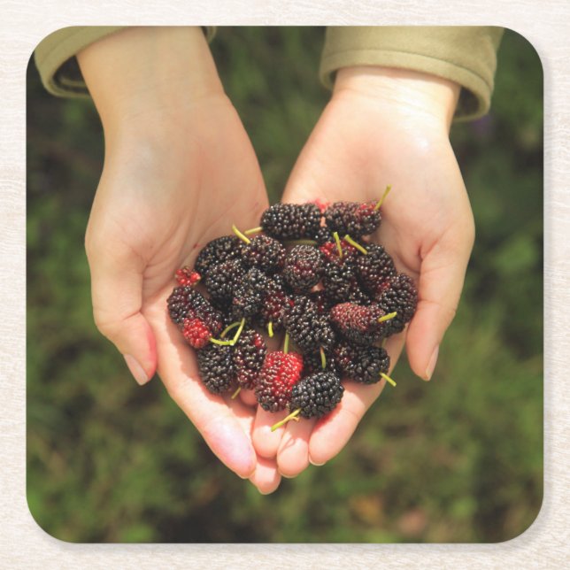 Handvoll Maulbeerbeeren frisch und süß Rechteckiger Pappuntersetzer (Vorderseite)