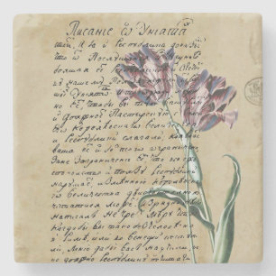 Handwriting and Tulips Vintage Art Design Steinuntersetzer