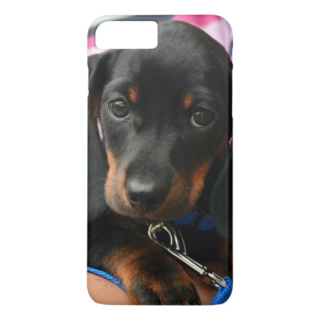Handy-Fall für niedliche Welpen-Fotos Case-Mate iPhone Hülle (Rückseite)