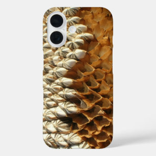 Handy-Gehäuse - getrockneter Sonnenblumenkopf iPhone 16 Hülle