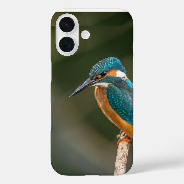 Handy-Gehäuse iPhone 16 Hülle (Rückseite)