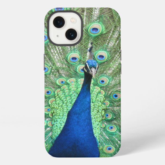 Handyhülle - Stolzer Pfau iPhone Hülle (Rückseite)
