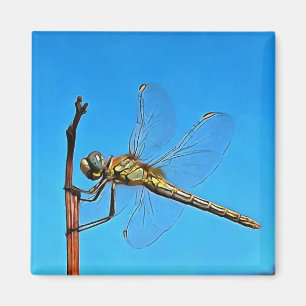 Hang auf die künstlerische Libelle gegen Cerulean Magnet