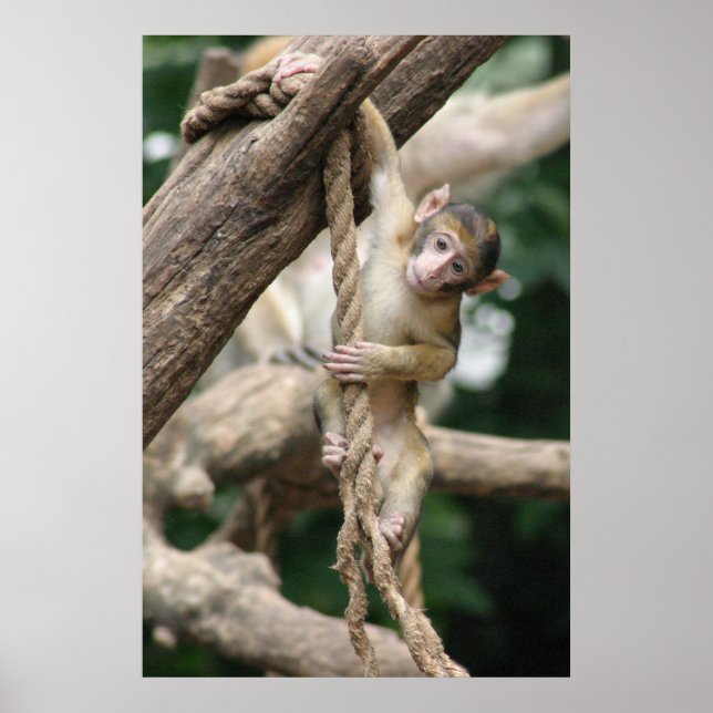 Hang da drin poster (Vorne)