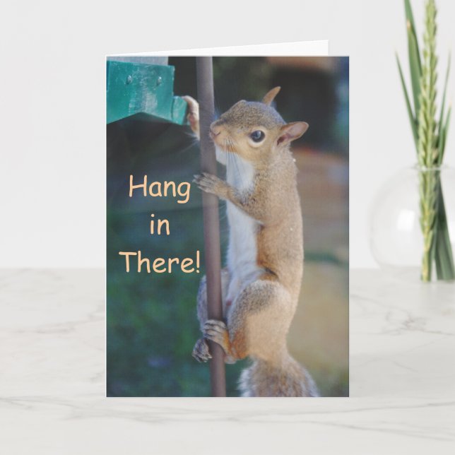 Häng da rein, Eichhörnchen hängt an Vogelschleuder Karte (Vorderseite)