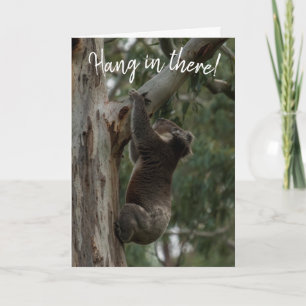 Hang da rein! Koala Australia Card Karte