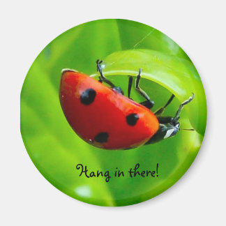 Hang da rein! magnet
