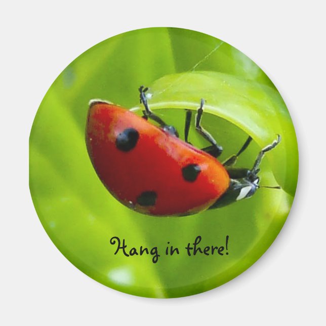 Hang da rein! magnet (Vorne)