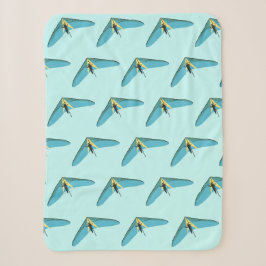 Hang Gliding Sherpadecke