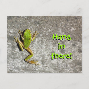 Hang in There Frog Carte postale