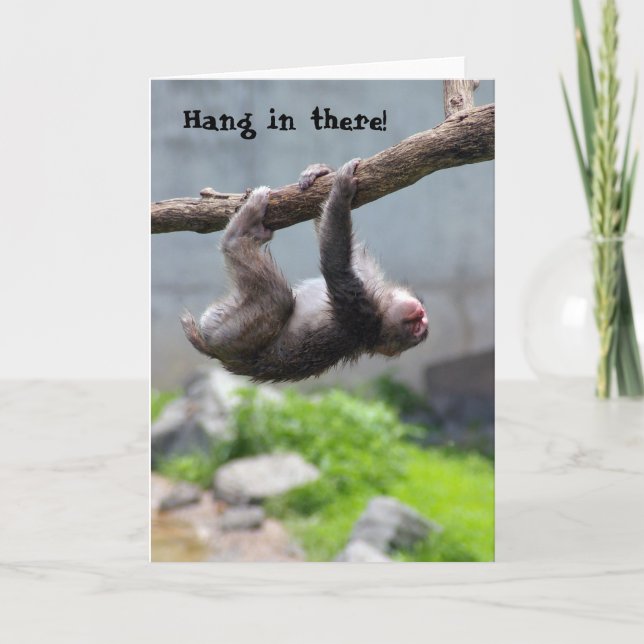 Hang in there Monkey card Karte (Vorderseite)