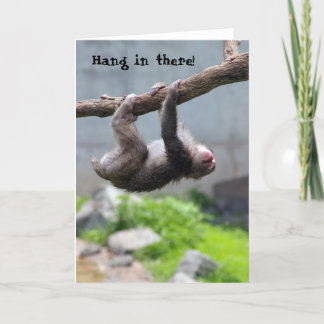 Hang in there Monkey card Karte