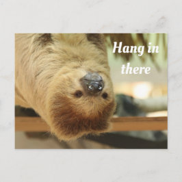 Hang in There, Sloth Postkarte