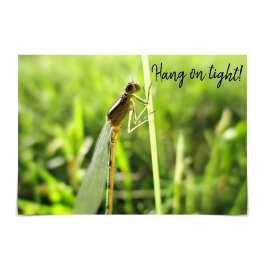 "Hang on Tight" Funny Dragonfly Encouragement Card Karte
