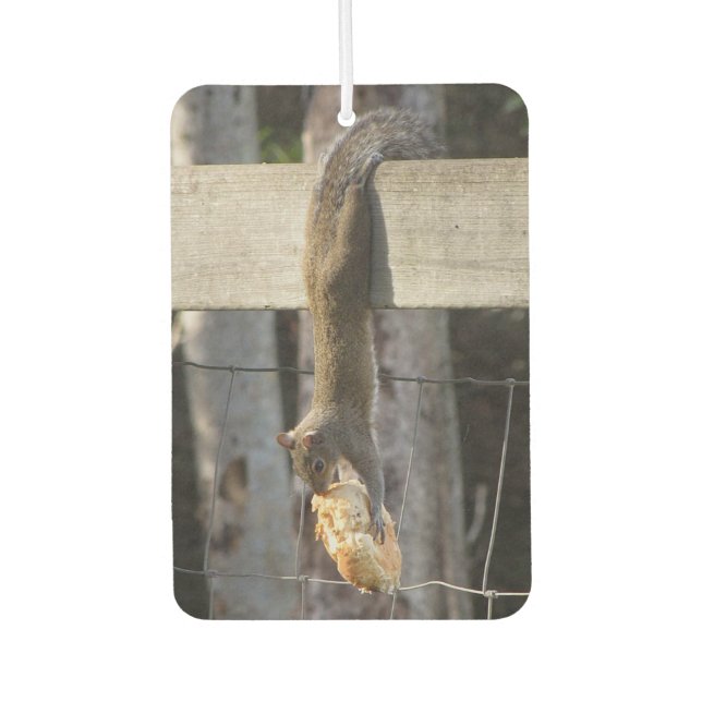 Hänge in There Baby - Eichhörnchen - Air Freshener Autolufterfrischer (Vorderseite)